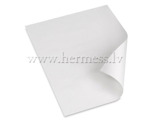 Paprs Rasanas A1, 1 loksne