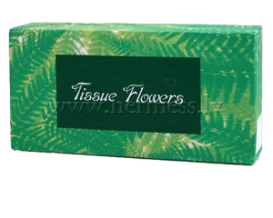 Kosmtisks  salvetes 21*21cm, 100 salvetes iepak., 2 sli