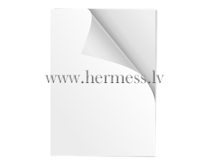Piezmju bloks - augj mal noplamas baltas lapas, A4 formts,  100 lapas