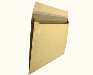Aploksne (250*350*20) SIVUL, palmjoa